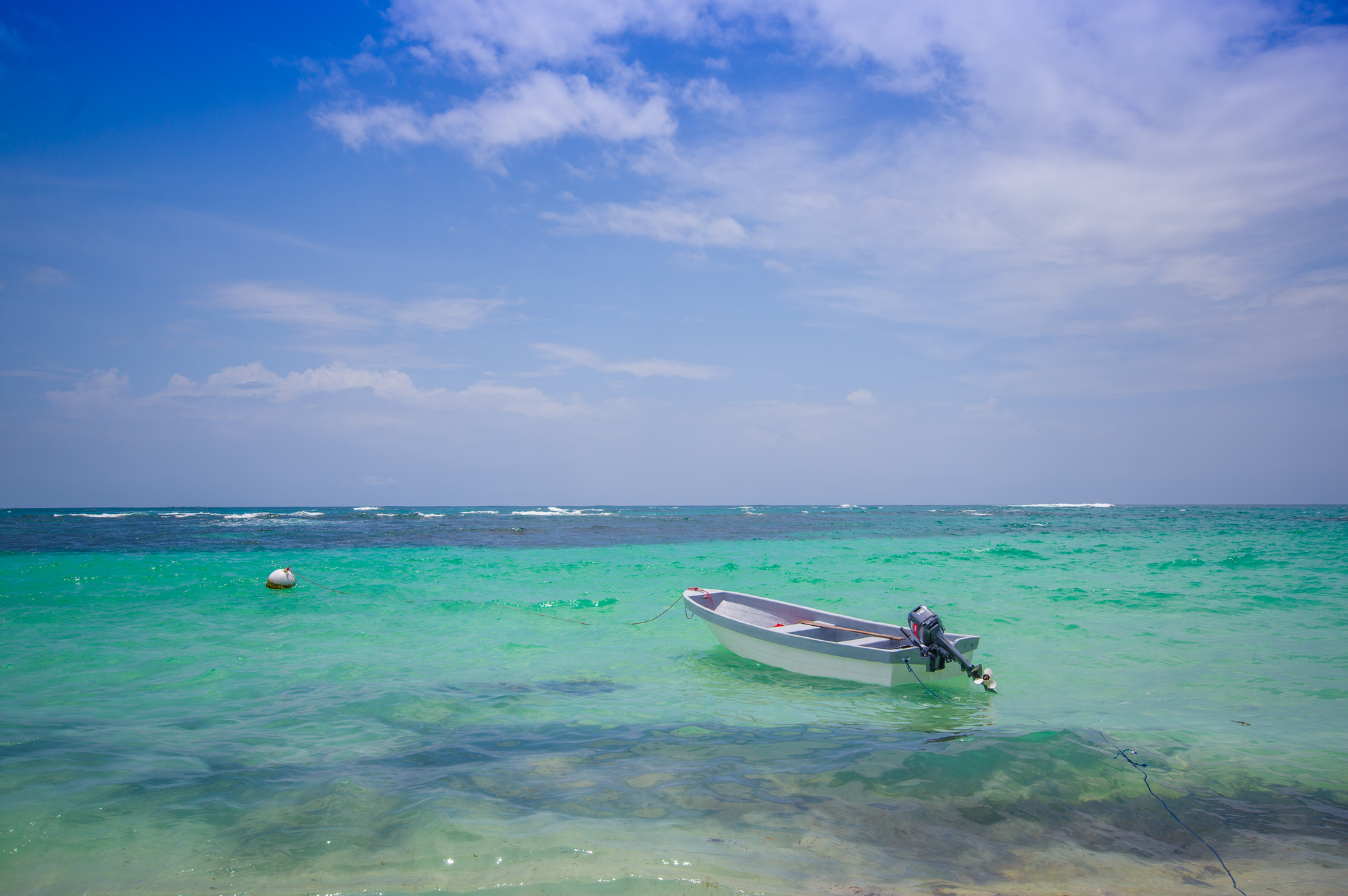 Your Kosher Trip to Bocas