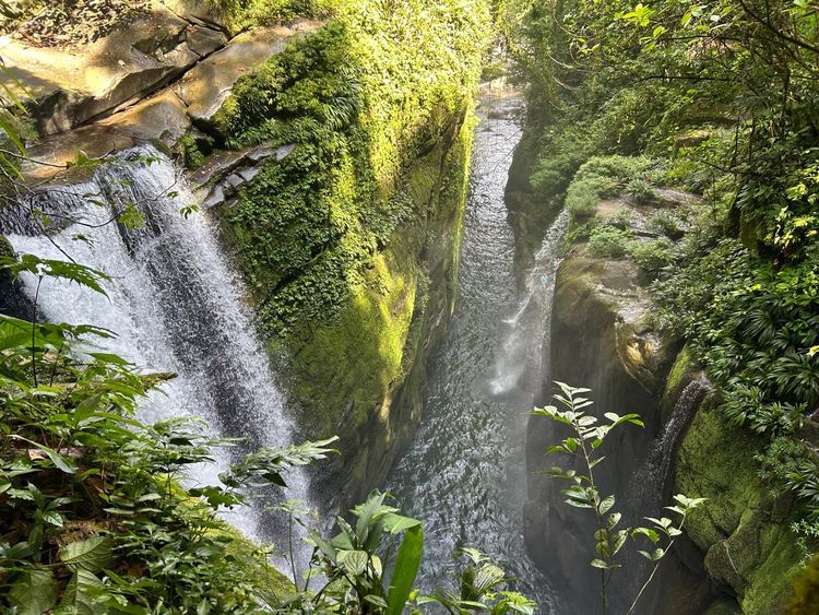 Alto Chorro Jungle & Waterfall Trek