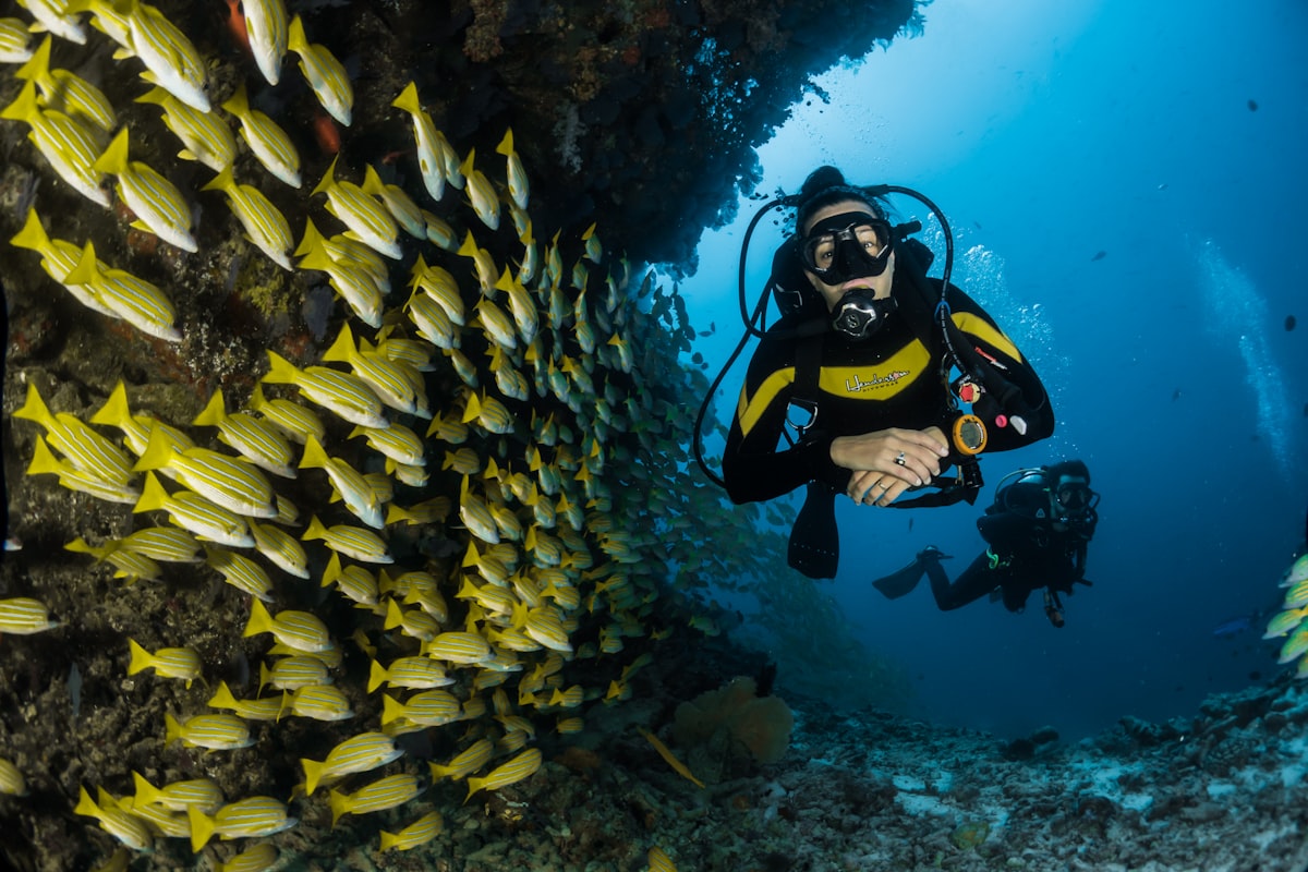 Stunning Snorkeling Experience