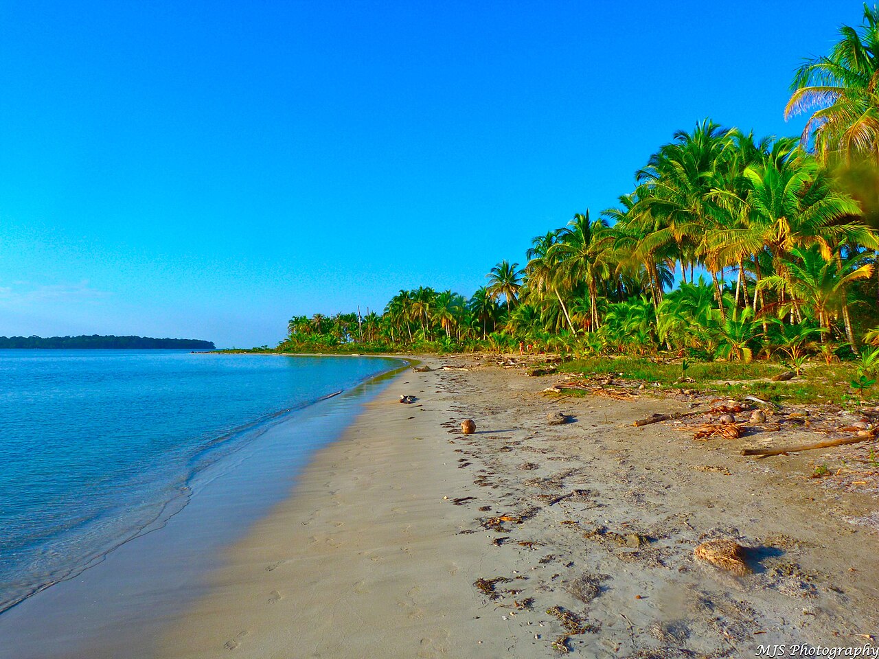 Starfish Beach Tour